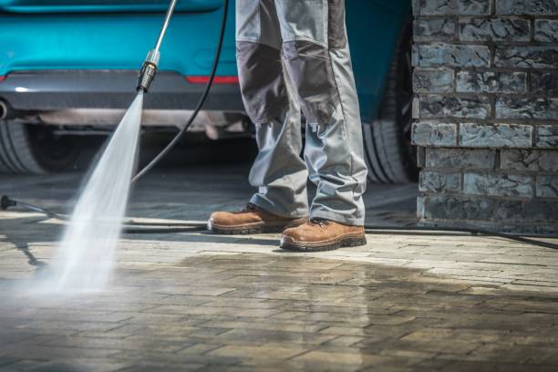 Best Gutter Cleaning  in Whippany, NJ