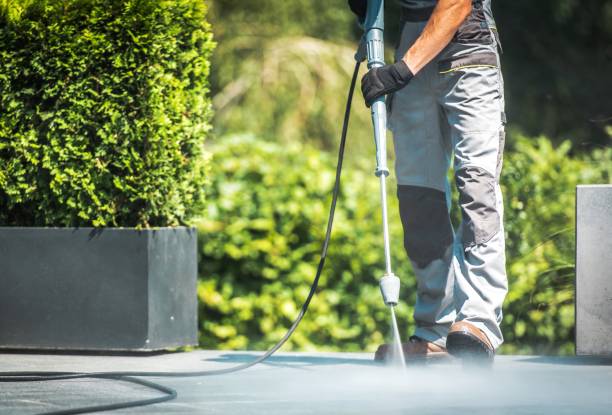 Boat and Dock Cleaning in Whippany, NJ