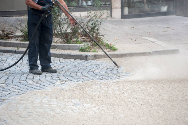 Best Winterizing Services  in Whippany, NJ