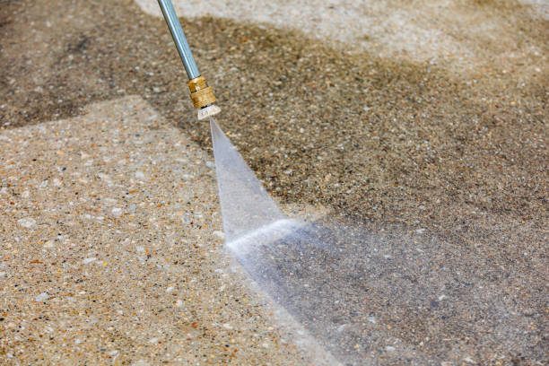 Best Animal Enclosure Cleaning  in Whippany, NJ